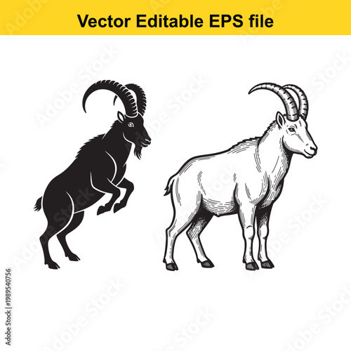Vector art of two ibex goats, one black silhouette and one white drawing