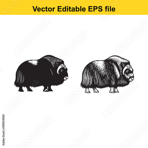 Vector art of two musk ox, one black silhouette and one detailed drawing