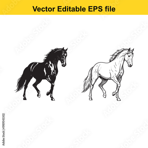 Vector art of two horses, one black silhouette and one white line drawing, running