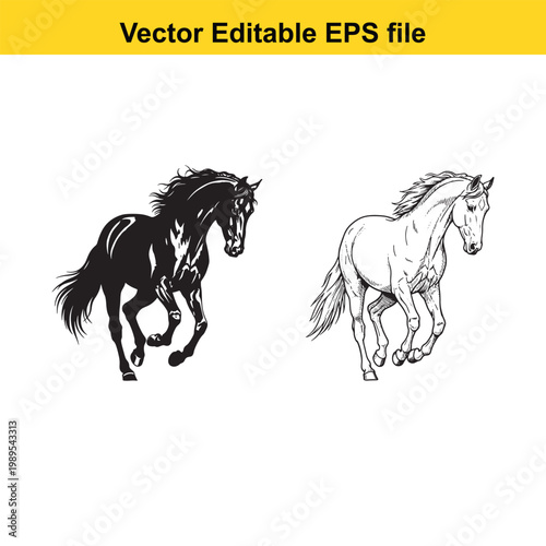 Vector art of two horses, one black silhouette and one white line drawing, running