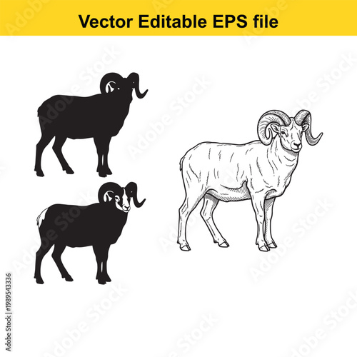 Vector art of ram sheep illustration, wild animal