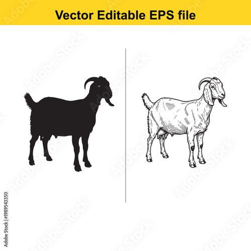 Vector art of goat illustration, farm animal