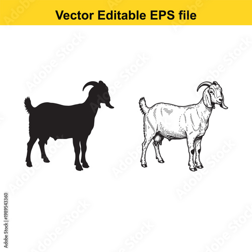 Vector art of two goats, one black silhouette and one detailed drawing