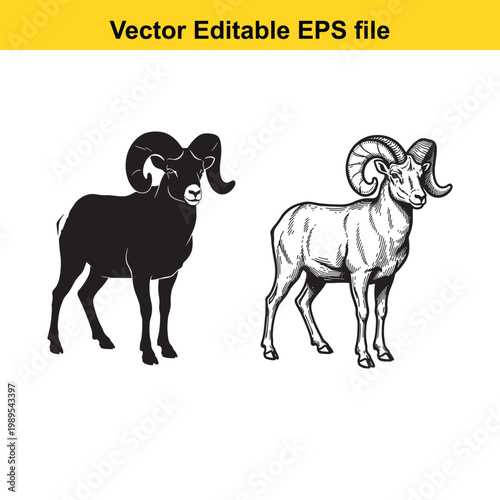 Vector art of two ram silhouettes, one black and one detailed sketch