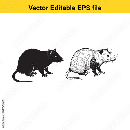 Vector art of two opossums, one black silhouette and one detailed sketch, crawling side by side