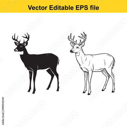 Vector art of two deer silhouettes, one black and one white outline, , vector editable eps file
