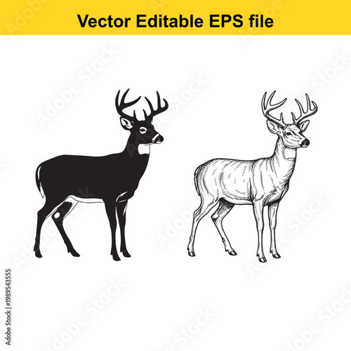 Vector art of two deer silhouettes, one black and one white outline, , vector editable eps file