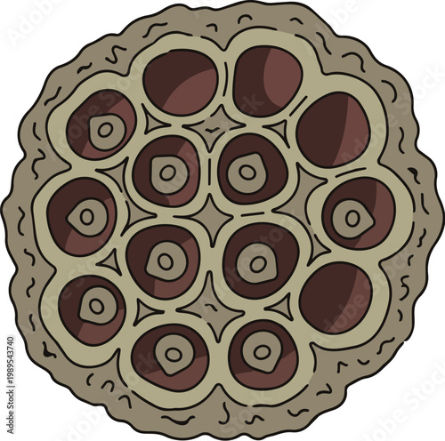 Flat Vector Dried Lotus Flower Head for Zen Decor and Spiritual Wellness Branding