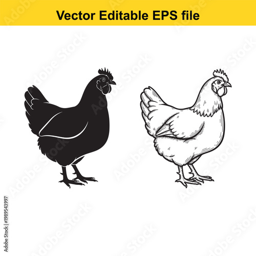 Vector art of two chickens, one black silhouette and one detailed line drawing