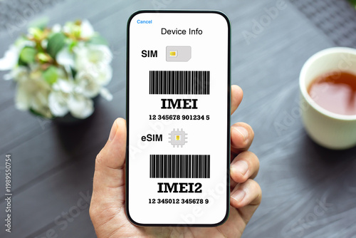 Phone IMEI screen SIM eSIM device info barcode male hand