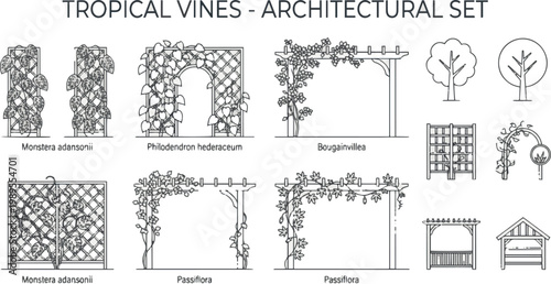 Create a kinds of deferent vines tropical plant drawing, Side view, set of graphics trees elements outline symbol for architecture and landscape design drawing. vector art with white background.
