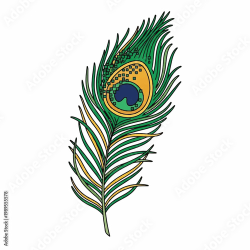 Vibrant peacock feather illustration showcases colorful plumage and intricate patterns