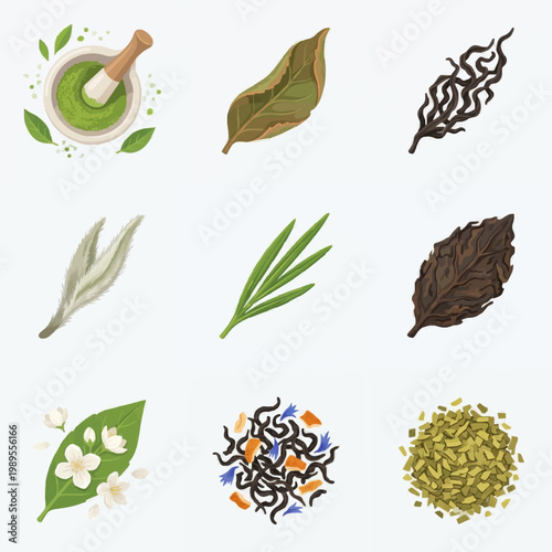 Herbal Remedies and Botanicals