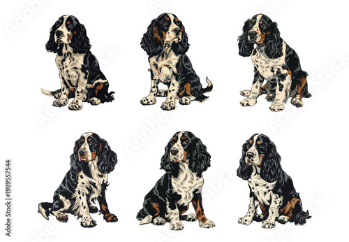 さまざまなポーズのバセットハウンド犬イラストセット