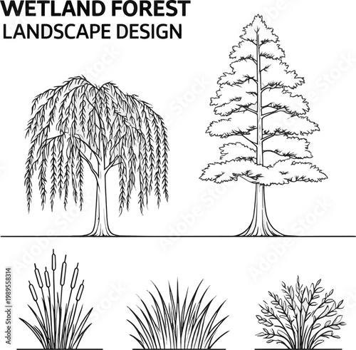 Generate a Architectural Drawings, Minimal style cad tree line drawing, Side view, set of section wetland forest outline for landscape design drawing in separate element vector art . vector art .