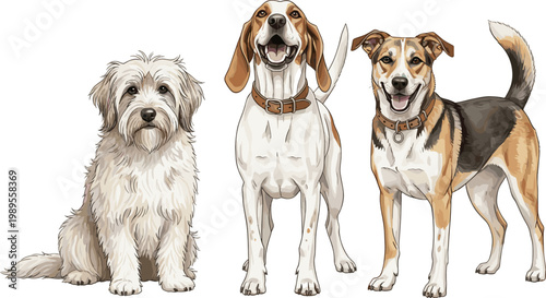 Domestic Dog Breeds Set with Cute Pet Portraits Different Canine Types Standing Together Isolated on White Background Detailed Vector Illustration