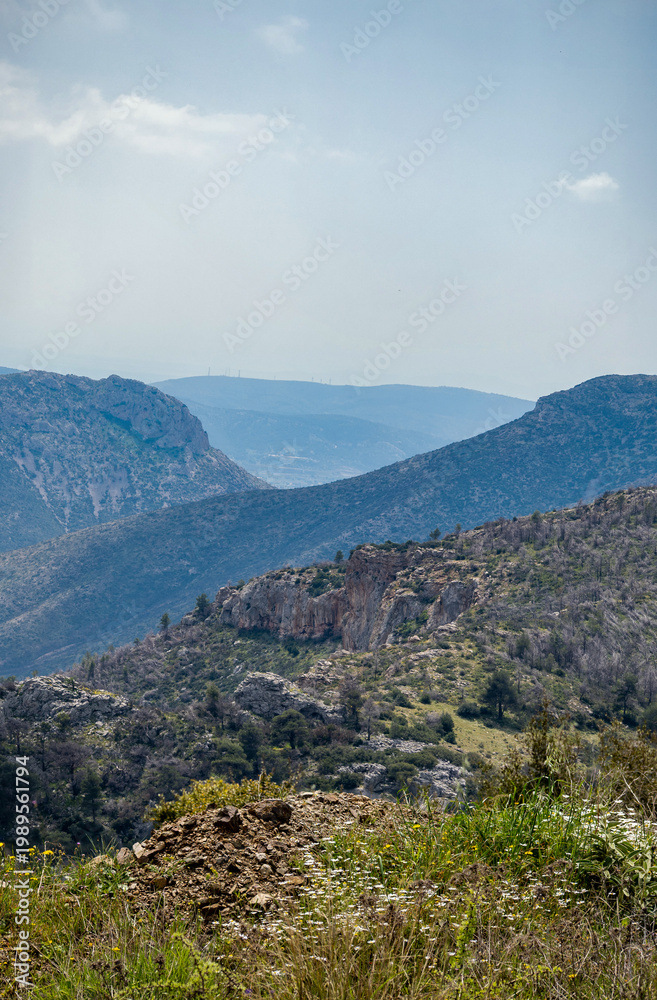 Obraz premium View from the top of mountain to mountain peaks and hills at Boeotia-Greece. Vertical photo, blue sky at the background.