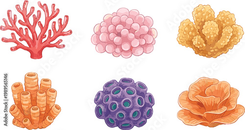Coral Reef Illustration Set with Different Sea Coral Types in Soft Color Style for Marine Life Design, Ocean Decoration and Underwater Graphics