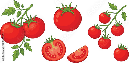 Fresh Red Tomato Vector Collection Featuring Whole Tomatoes on the Vine, Cherry Tomatoes, Slices, and Wedges for Healthy Cooking and Organic Food Graphic Designs
