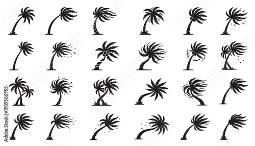 Set of palm tree icons, exotic beach symbol, tropical summer sign collection, vacation concept