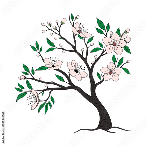 Elegant blooming plum tree illustration with soft pink flowers, isolated on a transparent background