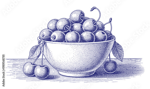 Vintage illustration of plums in a bowl a detailed blue sketch with artistic flair