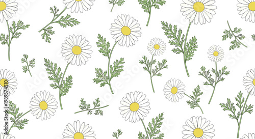 Beautiful seamless pattern featuring delicate white daisy flowers with yellow centers and green leaves on a clean white background.
