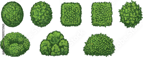Green garden bushes and hedge shapes set with decorative shrub plants illustration collection