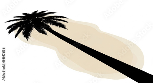 Silhouette of a tall palm tree leaning to the side.