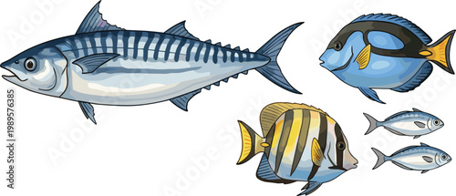 Marine fish set with tuna and tropical reef fish detailed ocean illustration collection