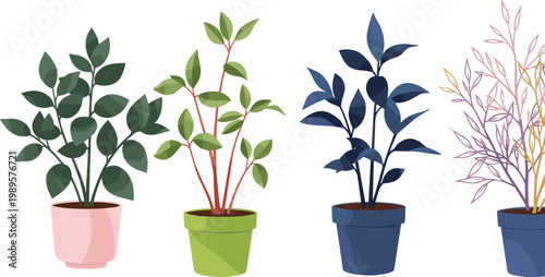 Potted houseplants set illustration with decorative indoor plants in colorful pots collection