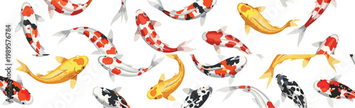 Seamless koi fish pattern with colorful ornamental carp swimming background illustration