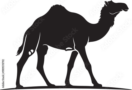 Black silhouette of a camel walking