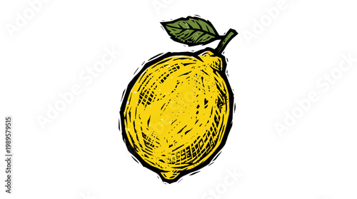 Vector Pinocut A hand-drawn lemon illustration with vibrant color and leaf.