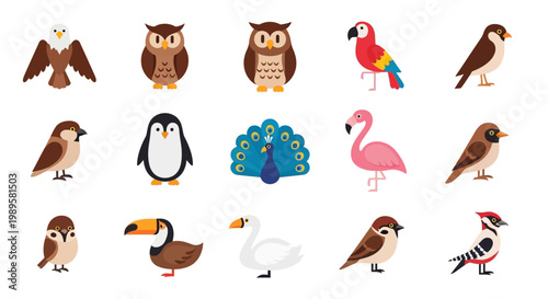 Colorful collection of cartoon birds and a peacock illustration
