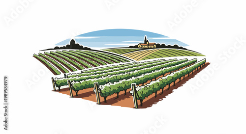 Lush vineyards stretch across rolling hills, leading to a distant building with a steeple