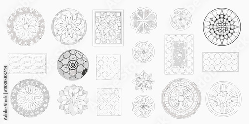 Obraz na plátně Collection of vintage botanical illustrations depicting radiolarian skeletal for