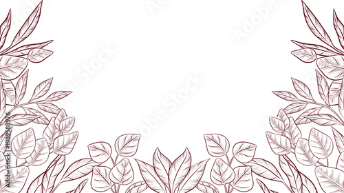 Detailed black and white engraving style drawing of eucalyptus and wildflowers, showcasing detailed stems, leaves, and flower structures. Frames and decorative elements for invitations and packaging