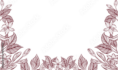 Detailed black and white engraving style drawing of eucalyptus and wildflowers, showcasing detailed stems, leaves, and flower structures. Frames and decorative elements for invitations and packaging