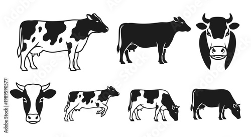 Cow Icons Set: Black and White Dairy Cattle Silhouettes and Illustrations