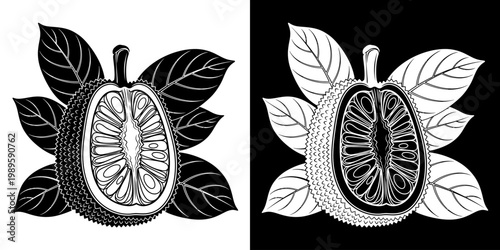Black and white jackfruit illustration with leaves