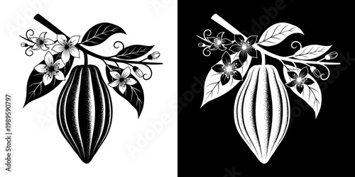 Stylized Cocoa Branch Illustration Cacao Pod, Flowers, and Leaves in Black and White Contrast