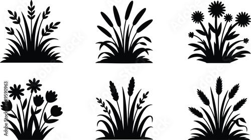 Wild grass and flowers silhouettes vector set, botanical plants collection, black nature elements for garden and landscape design