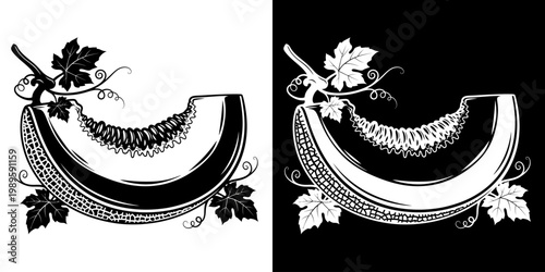Elegant Melon Slice Illustration with Contrasting Black and White Design Elements