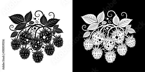 Graphic Raspberry Berries and Leaves in Monochromatic Contrast Illustration