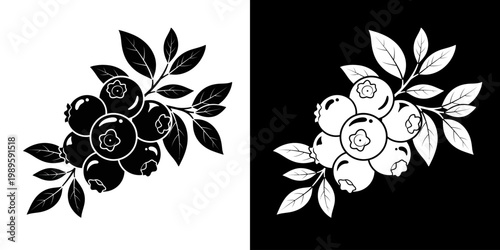 Monochromatic Blueberry Branch Graphic with Contrasting Black and White Duality