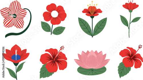 Vector Set of Red and Pink Flowers Including Hibiscus, Lotus, and Decorative Floral Designs for Nature, Botanical, and Garden Illustrations