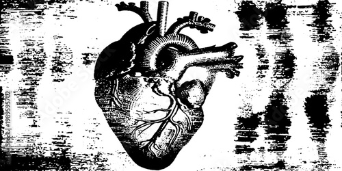 Anatomical heart illustration centered on grunge background