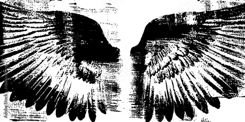 Pair of bird wings spread symmetrically on white background
