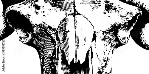 Bull skull displayed in distressed textured backdrop